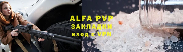 СК Новозыбков