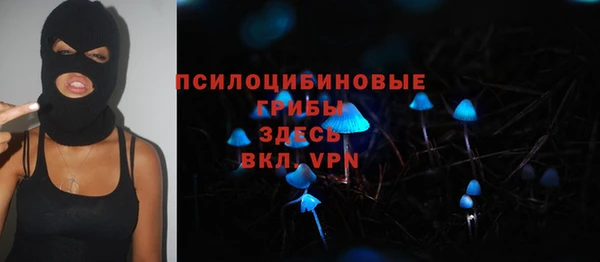 гашик Нязепетровск