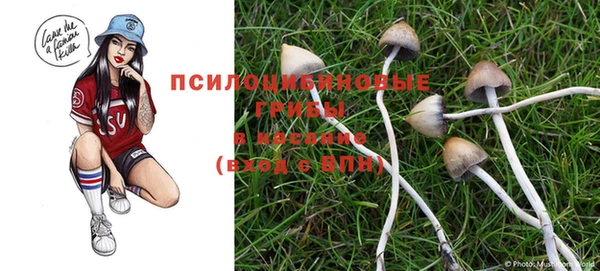 меф Няндома