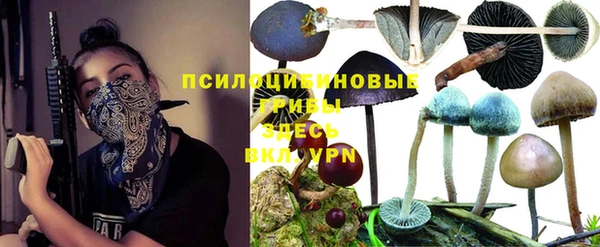 гашик Нязепетровск